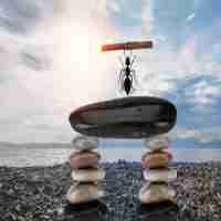 爬﻿虫‍软‍件​哪﻿个﻿好​用​呢‌?五‌款‍好​用‌的​爬‌虫‍软﻿件​推​荐﻿下‌载‍